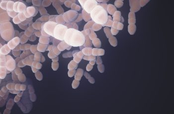 Молочниця. Кандидоз