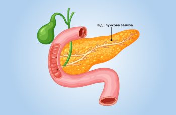 підшлункова залоза