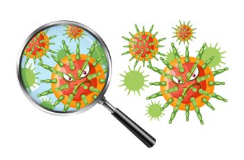 вірус вітрянки