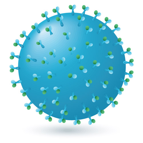 схематичне зображення ротавірусу