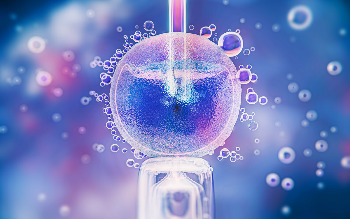 алегоричне зображення процесу еко-запліднення клітини