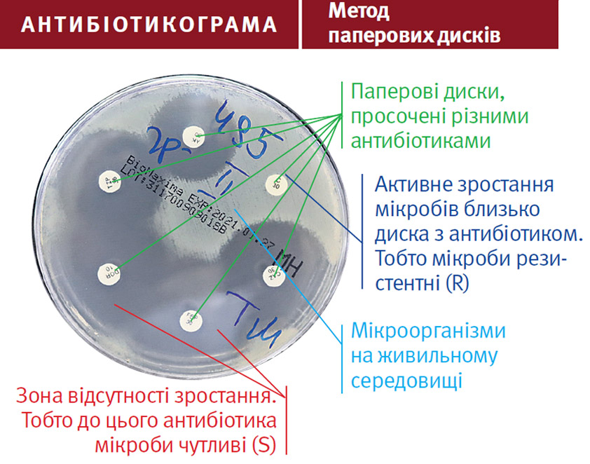 антибіотикограма