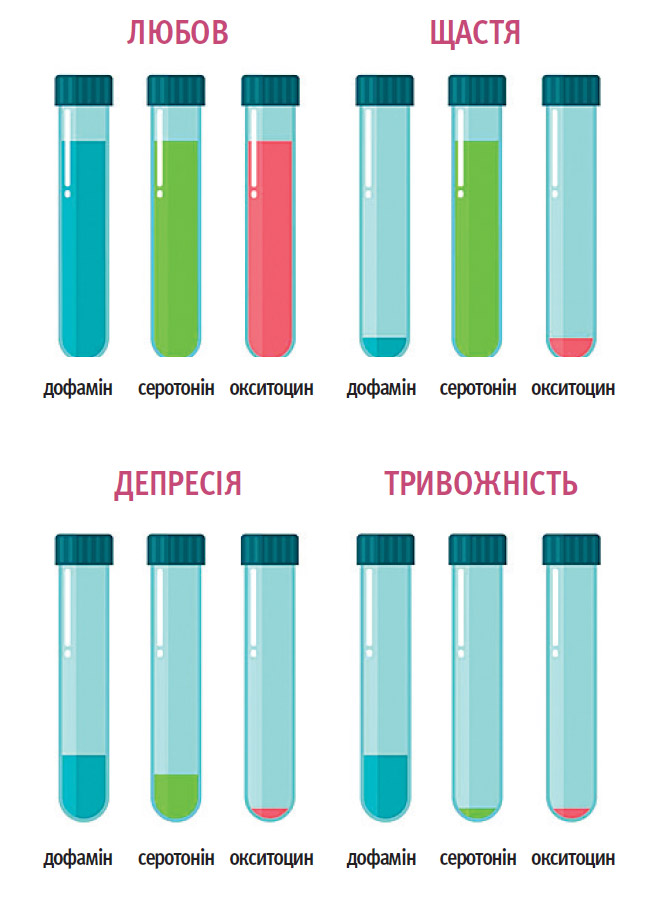 зображення гормонів, які відповідають за певні стани