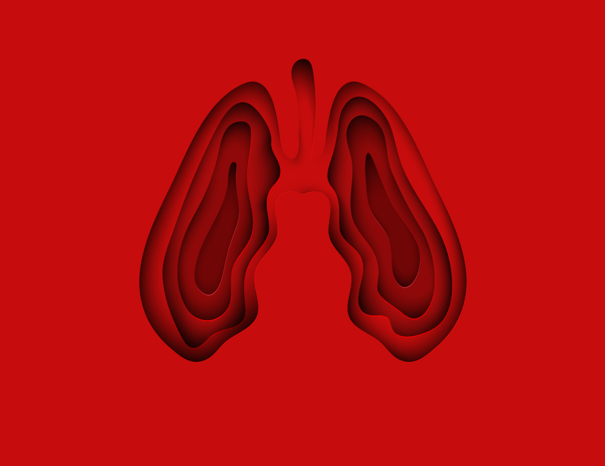схематичне зображення легень людини
