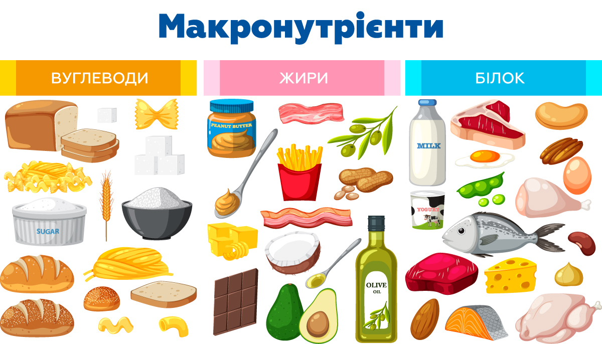 зображення макронутрієнтів – продуктів, які входять до цієї категорії
