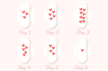 зображення різної кількості виділень у жінки для різного періоду циклу місячних