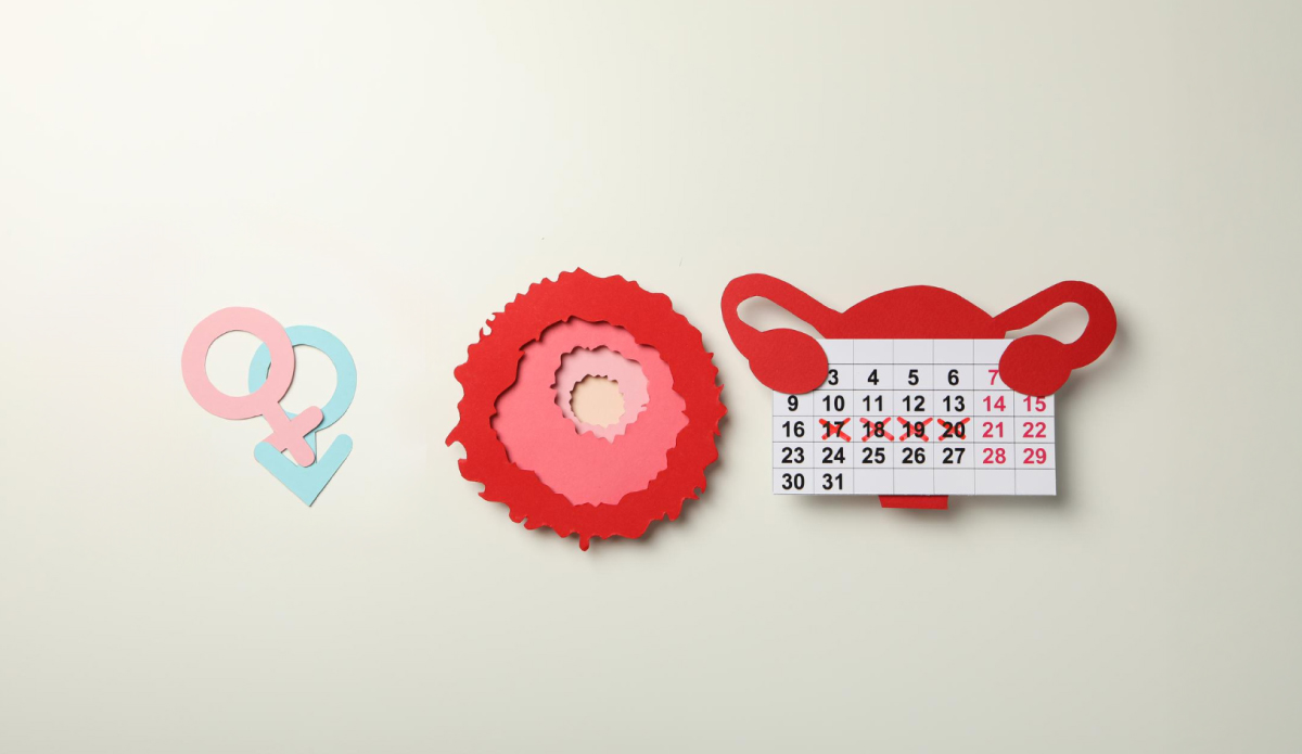 схематичне зображення календаря для слідкування за менструальним циклом