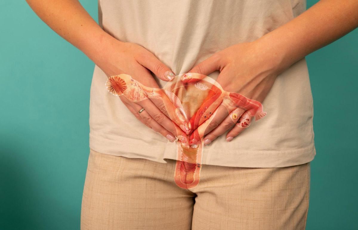 голографічне зображення матки в тілі жінки