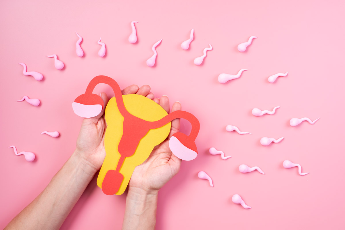 схематичне зображення матки v оточенні сперматозоїдів