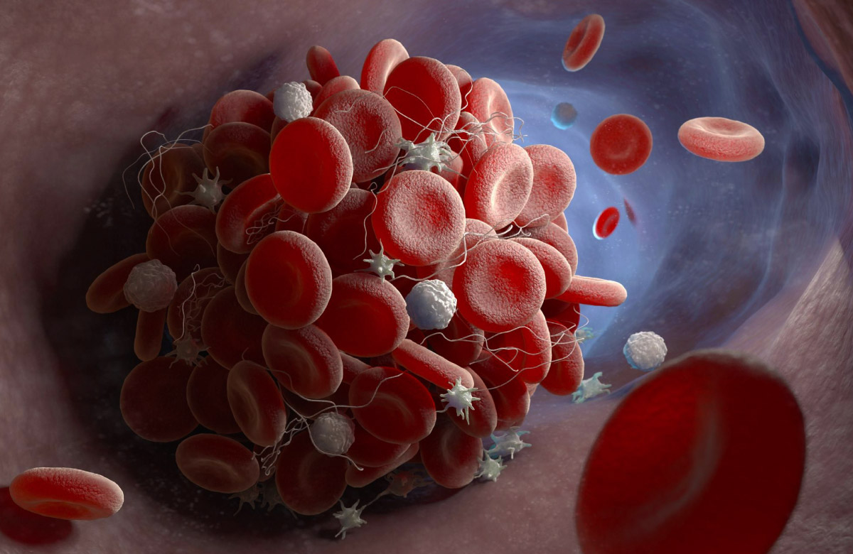 формування клітин крові