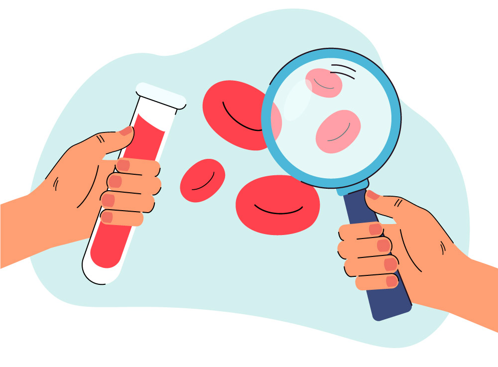 лейкоцити, мальоване зображення