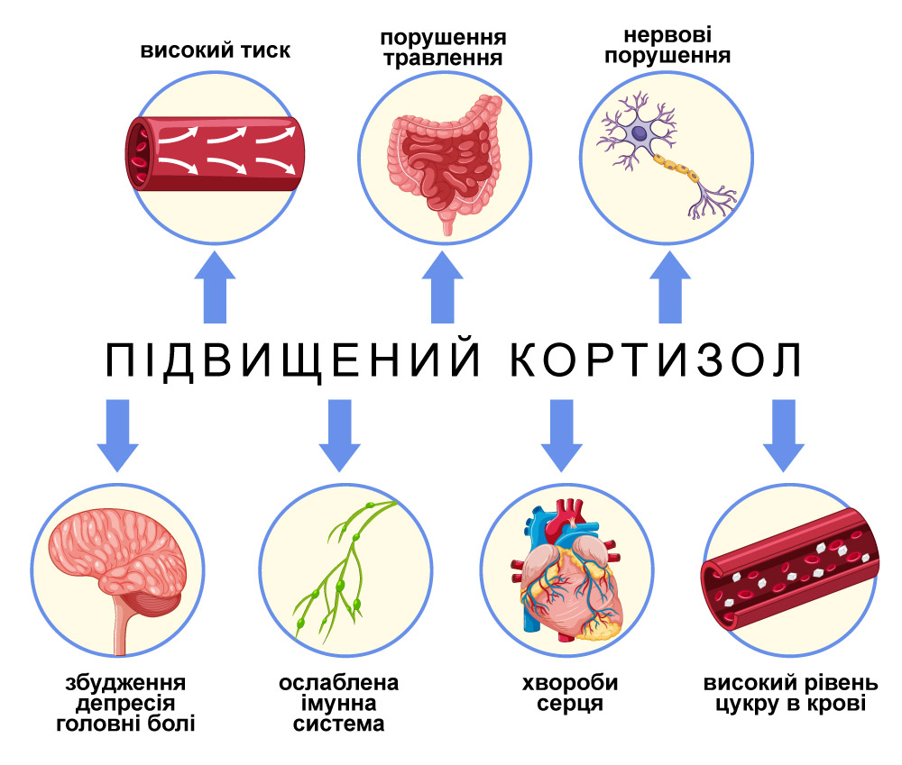 стрес. система продукції кортизолу