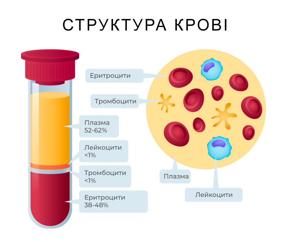 структура крові в зображенні