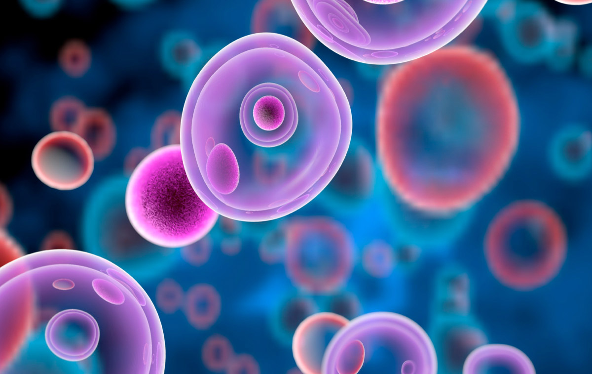 клітини, мальоване зображення вигляду під мікроскопом