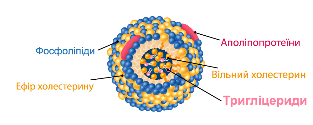 тригліцериди