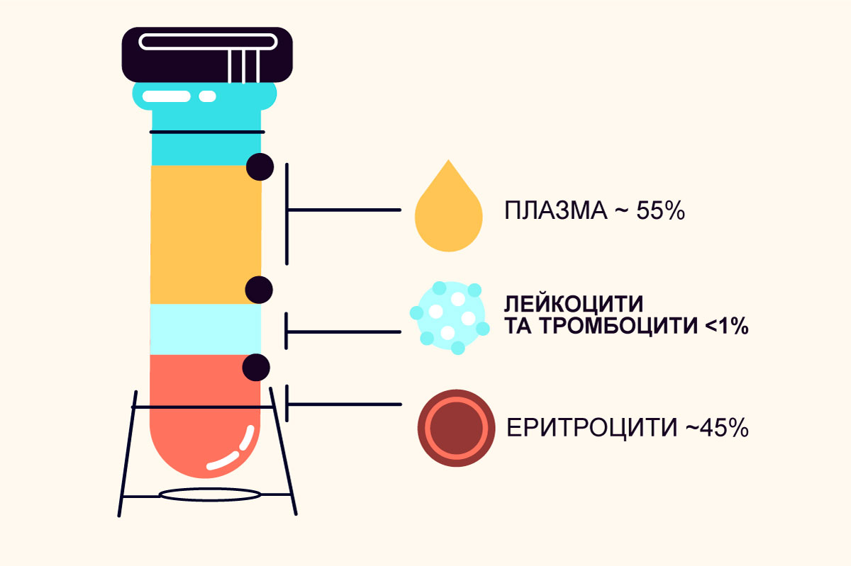 Норма лімфоцитів у крові